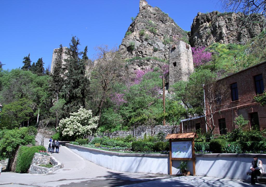 Apartment On Botanikuri Tbilissi Chambre photo